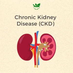 Chronic Kidney Disease